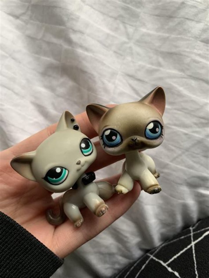 LPSSkittles’s Boyfriend: Who is LPSSkittles Dating?