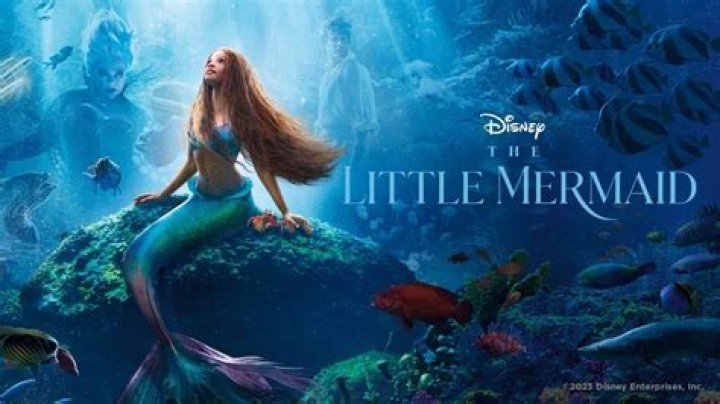 Paloma Faith Slams Disney’s Live-Action “The Little Mermaid” for Sending Wrong Message